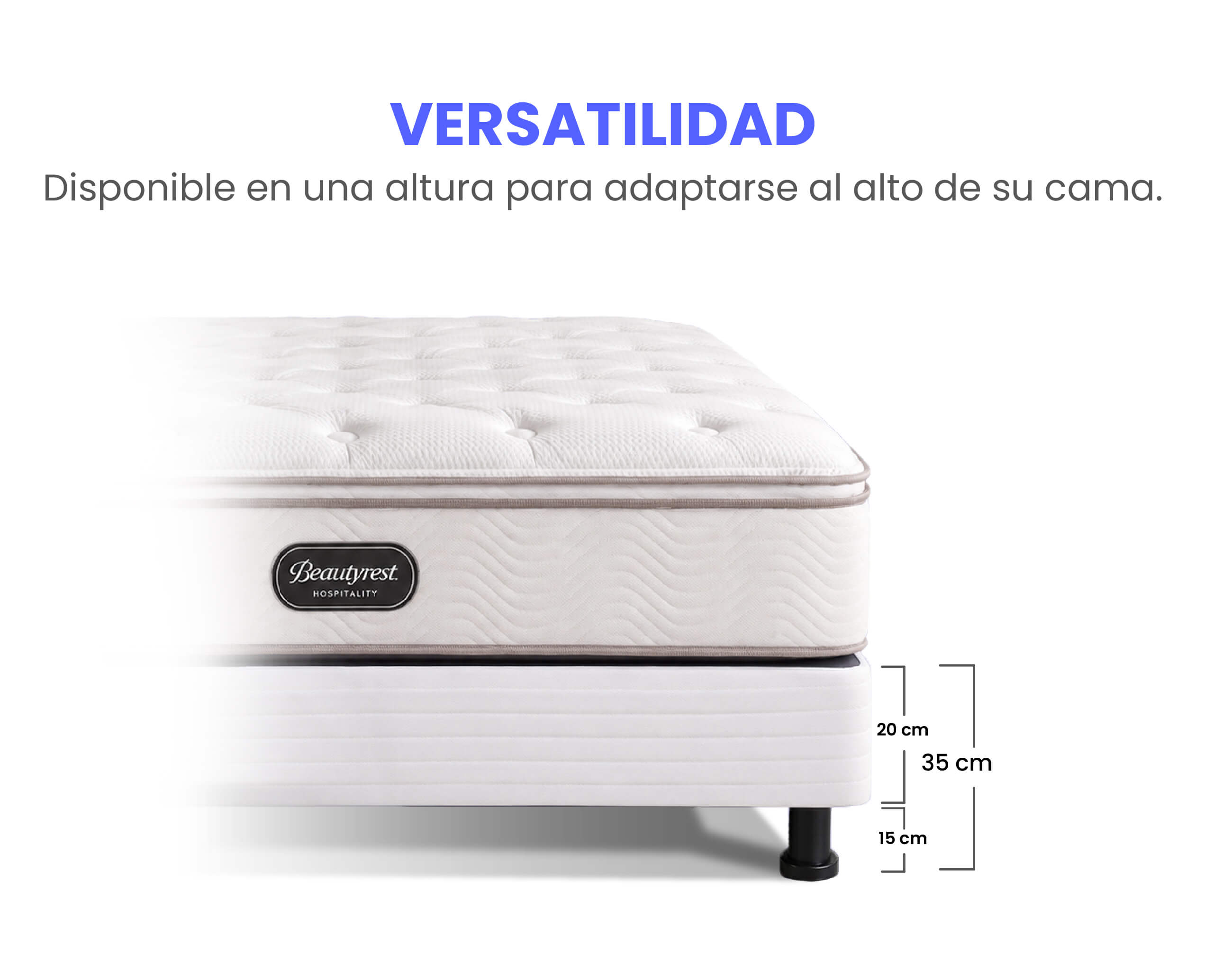Altura y versatilidad de la Base Hotel Collection